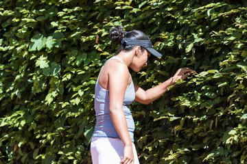 Johanna Silva 633 - NL THC von Horn und Hamm - Club zur Vahr